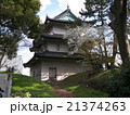 皇居東御苑 富士見櫓と桜