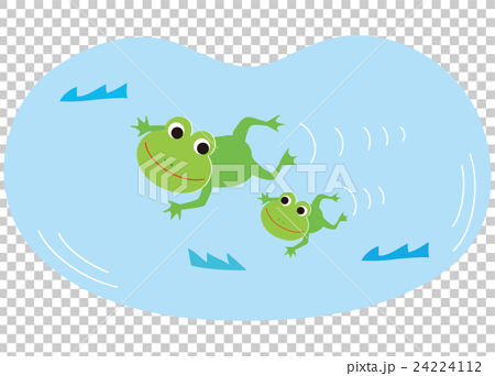 游泳 插图 青蛙父母和孩子 首页 插图 运动 水上运动 游泳 青蛙父母和