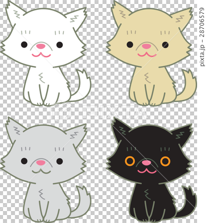 插图素材: 波斯猫集 查看全部