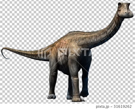 图库插图: nigersaurus 查看全部