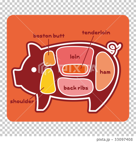 插图素材: 食物插图/猪肉的一部分(英语)