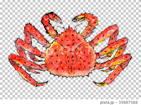 图库插图 画笔绘画插图