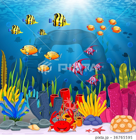 Cute Fish Cartoon In The Sea Pixta