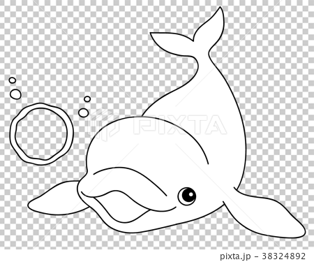 シロイルカの画像 原寸画像検索