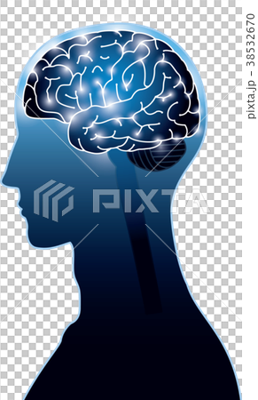 图库插图: 脑电信号的图像