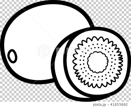 插图素材: 猕猴桃黑白线描著色图片 查看全部