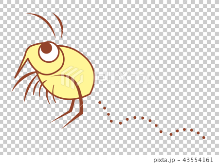 插图素材: 跳蚤 昆虫 害虫