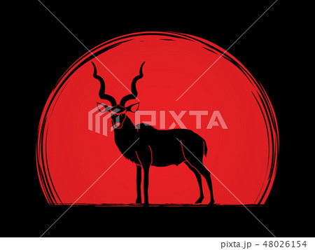 Kudu Standing Graphic Vector Pixta