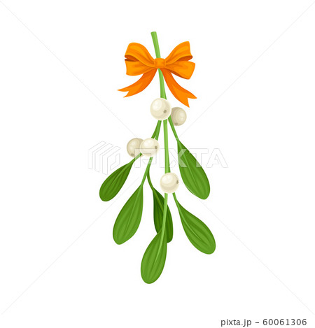 Mistletoe Branch Tied With Ribbon Vector Itemのイラスト素材 60061306 PIXTA