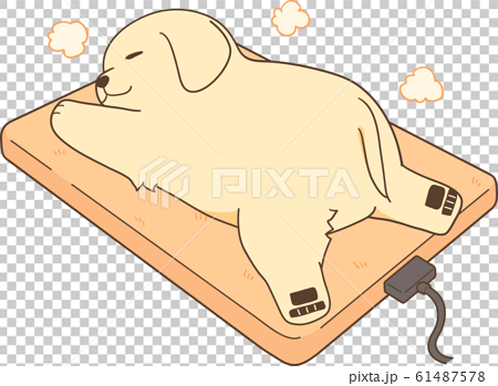 插图素材: 金毛小狗(温暖的床单)
