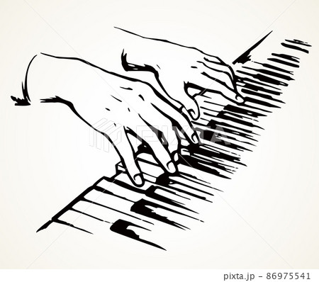 Hands On Piano Keyboard Vector Drawing Pixta