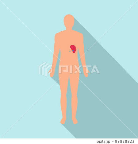 Front view of human spleen icon flat styleのイラスト素材 93828823 PIXTA