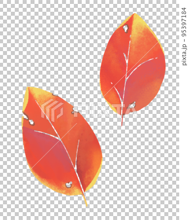 Simple Fallen Leaves Stock Illustration 95397184 PIXTA