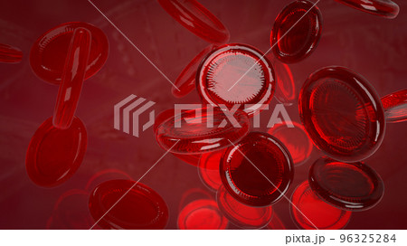 The Blood Cell For Medical Or Education Concept