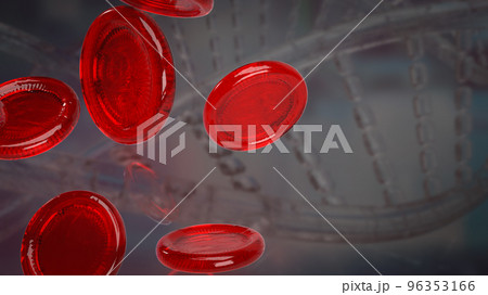 The Blood Cell For Medical Or Education Concept