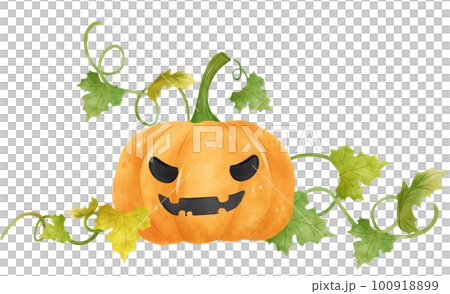 cute watercolour Halloween autumn pumpkins with のイラスト素材 100918899