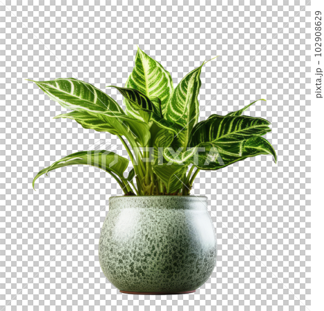 Green Domestic Plant In Flowerpot Illustration