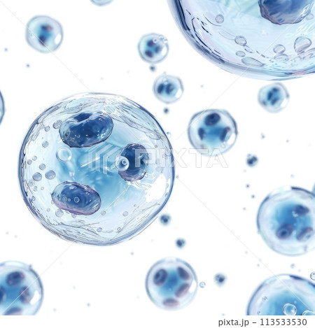 Stem Cell The Building Blocks Of Life Pixta