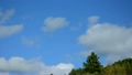 7266413