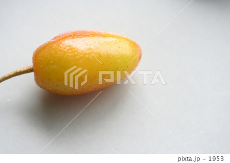 GUMI_オレンジ 1953