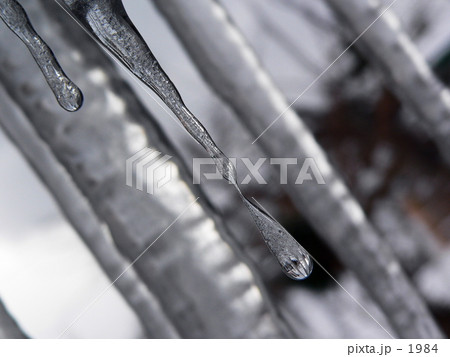 ツララの涙 1984