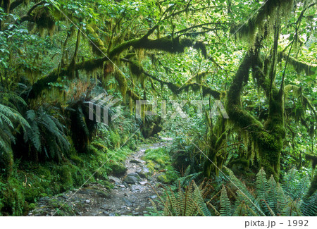 Milford Track 1992