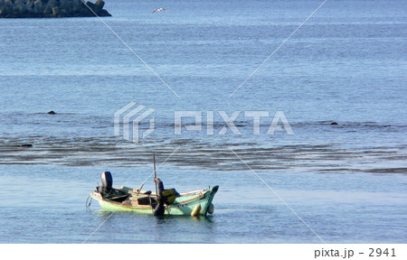 海の中ど～よ？ 2941