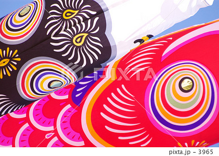 こいのぼり 3965