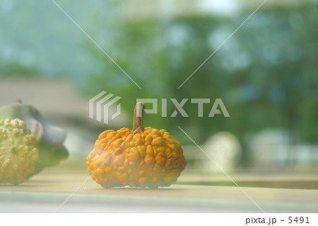 収穫イメージ 収穫イメージ 5491