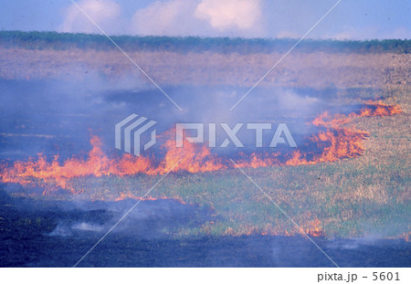 燃える畑 5601