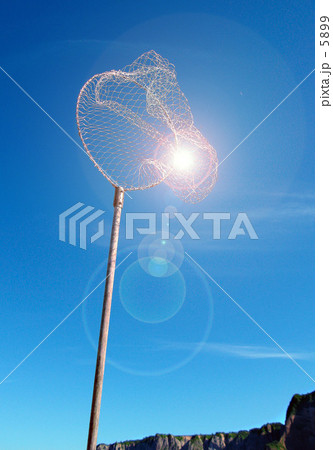 捕まえた・・・ 5899