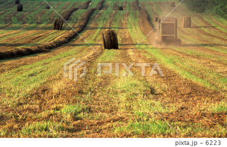 北の大地 北の大地 6223