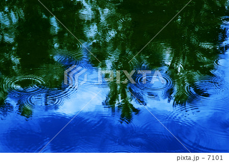 青空と雲とポプラとにわか雨 青空と雲とポプラとにわか雨 7101