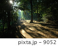 散歩道001 9052