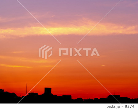 Orange Orange 9274