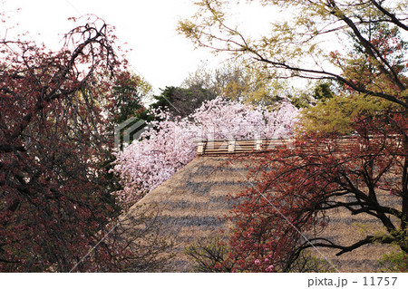 春の夕暮れ 春の夕暮れ 11757