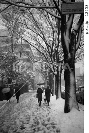 原宿・雪の表参道  昭和42年2月 原宿・雪の表参道  昭和42年2月 12558