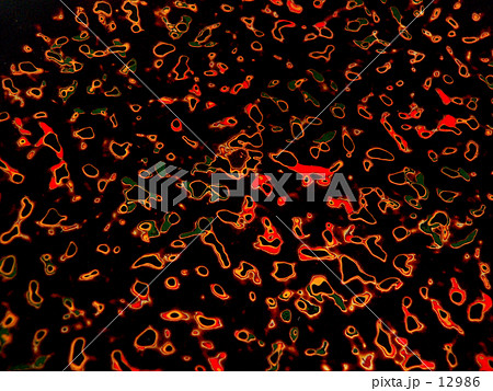 津軽塗り紋様-唐塗 12986