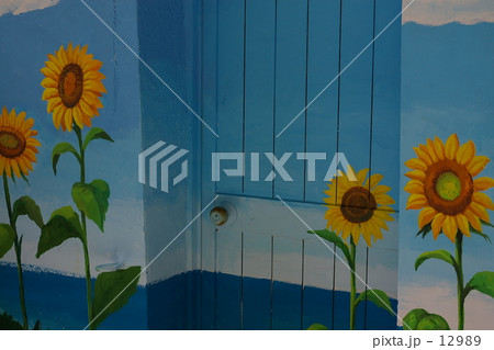 ひまわり 12989