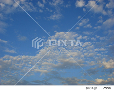 まだまだ夏 12990