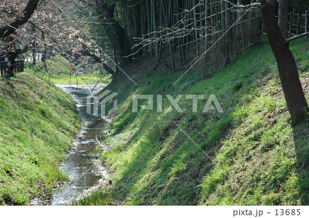 見沼田圃・春 見沼通船堀 見沼田圃・春 見沼通船堀 13685