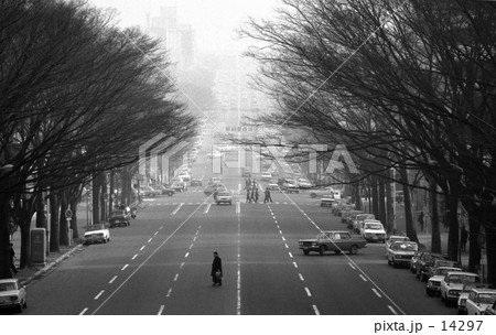 原宿・明治神宮表参道　昭和44年1月 14297