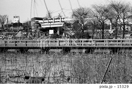 上野動物園・不忍池とモノレール 昭和44年 上野動物園・不忍池とモノレール 昭和44年 15329