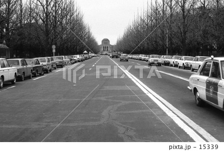 神宮外苑・冬日の銀杏並木　昭和４４年 15339