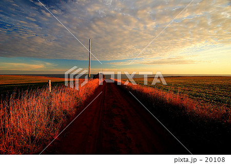 ケープトライオン 20108