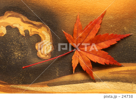 モミジと浪 モミジと浪 24738