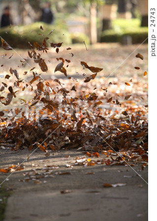 一陣に舞う 24743