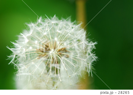 まもなく... 28265