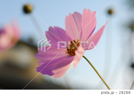 反対方向・・・ 28266