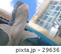 じょうず？ 29636